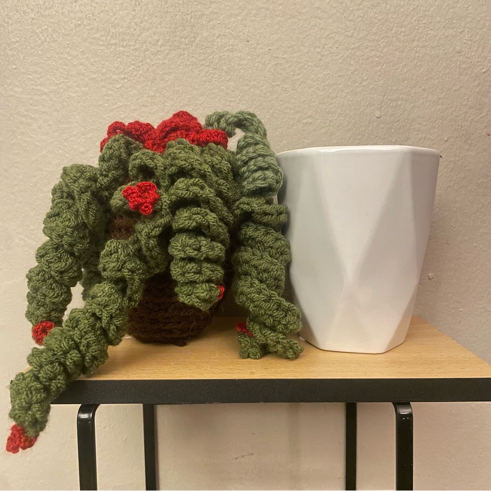 LD Yarn Creations Handmade Green & Red Crocheted Plant Décor – Approx 6” Tall - Picture 12 of 13